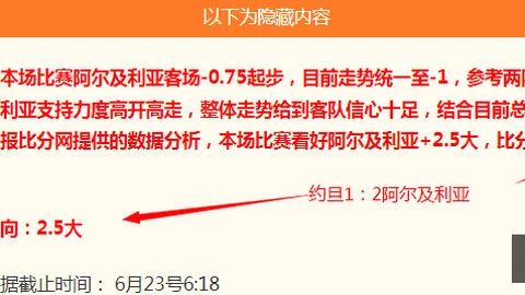 新西兰队锋线默契十足，埃及有望突围世界杯关键情报解析
